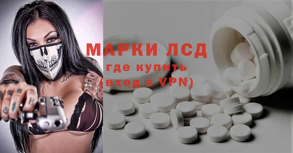 стафф Алзамай