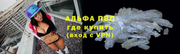 крисы Алексин