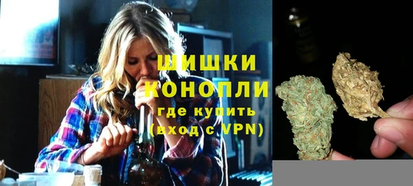 СК Коряжма