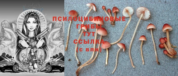стафф Алзамай