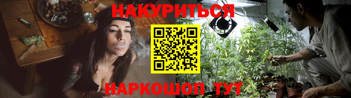 Бошки марихуана планчик  Бошки Шишки сатива  Вход с VPN  Балашиха 